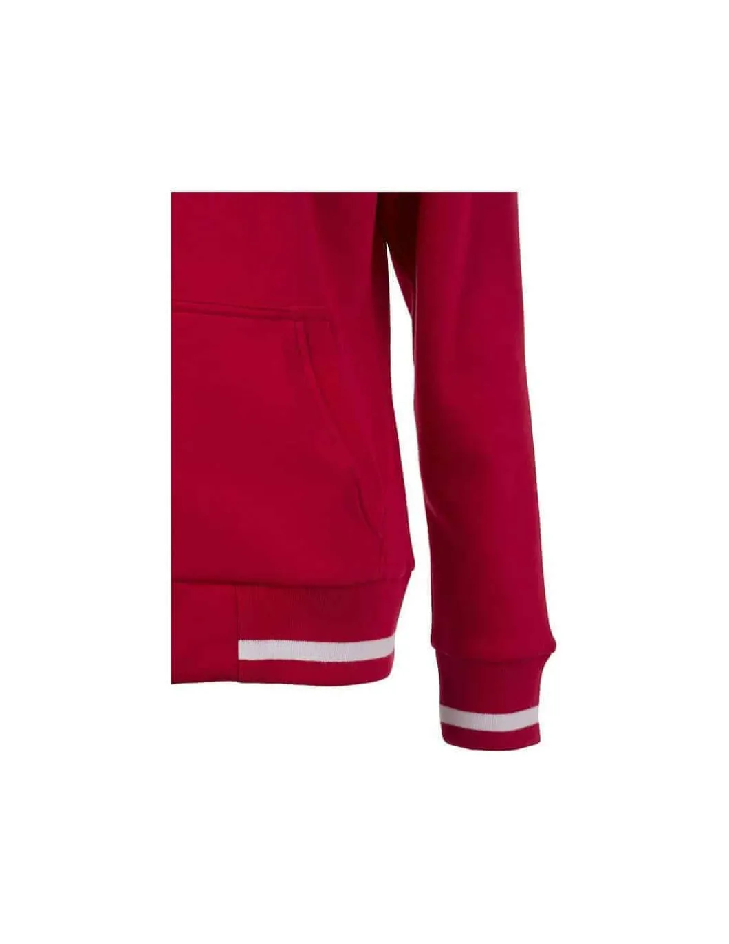 Sweatshirt Femme Doublé Zippé à Capuche Coton Premium James & Nicholson